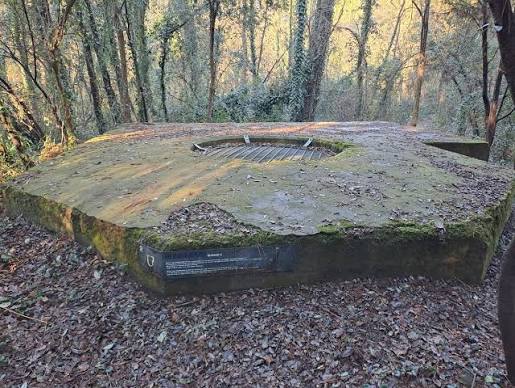 Reading Party con visita ai bunker della seconda guerra mondiale (alla quota vanno aggiunti €5,00 per la visita)